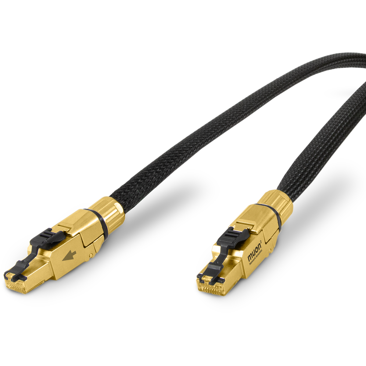 Network Acoustics Muon2 Streaming Cable