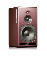 Psi Audio A25-M